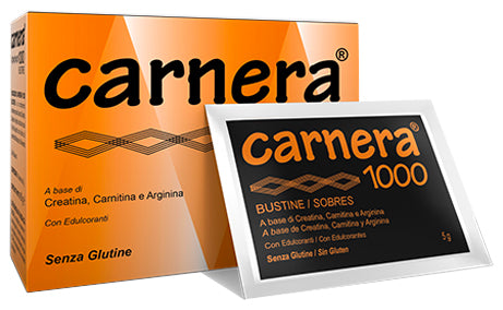 Carnera 1000 18bust Hauptbild
