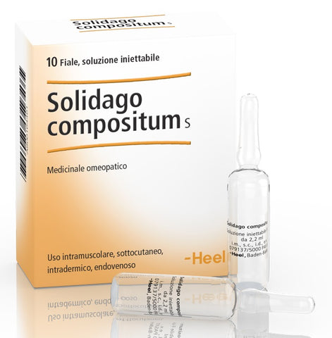 He.solidago comp 10fl