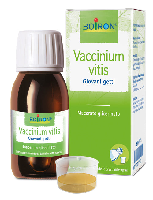 Vaccinium vitis mg 60ml int