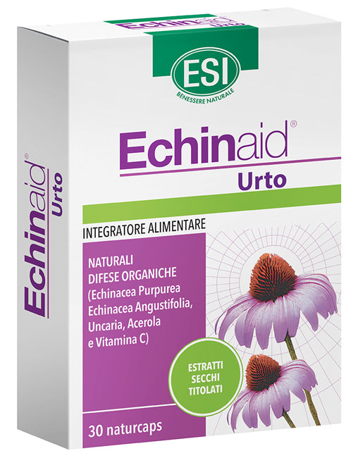Echinaid urto 30cps "esi"