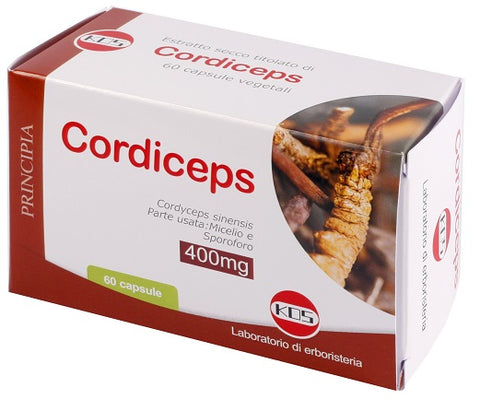 Cordiceps estratto secco 60cps