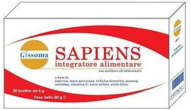 Sapiens 20bust Hauptbild
