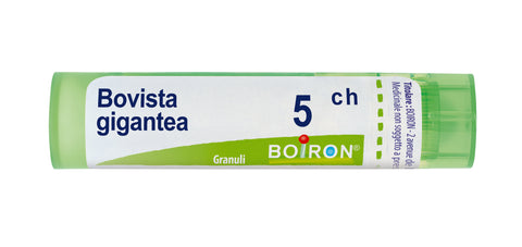 Bovista gigantea*5ch 80gr 4g