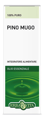 Pino mugo olio ess 10ml  erbav