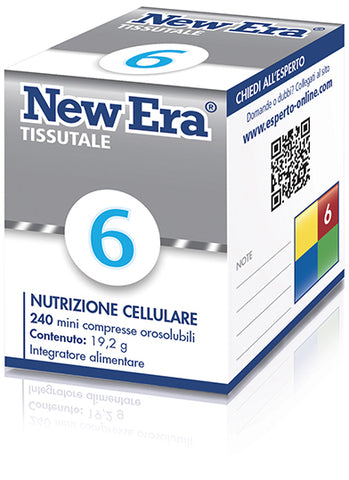 New era 6 240gr