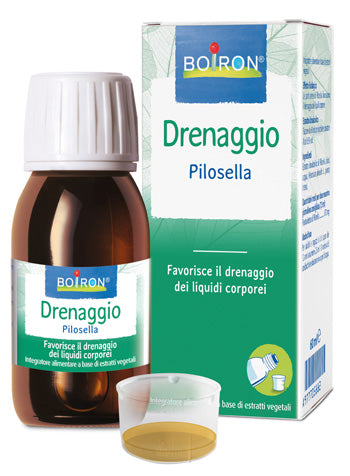 Pilosella int gtt 60ml