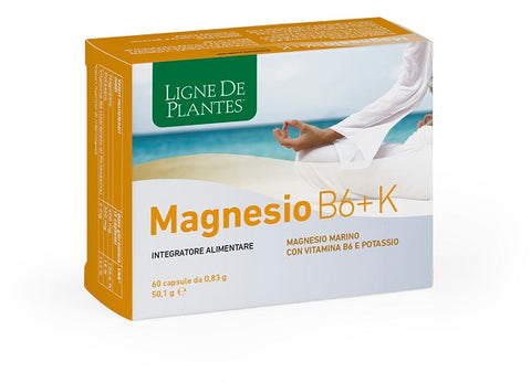 Magnesio b6 + k 60cps natura s
