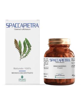 Spaccapietra 50cps
