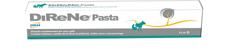 Direne pasta 15ml