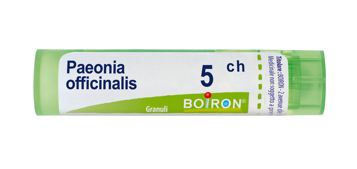Paeonia officinalis*5ch 80gr