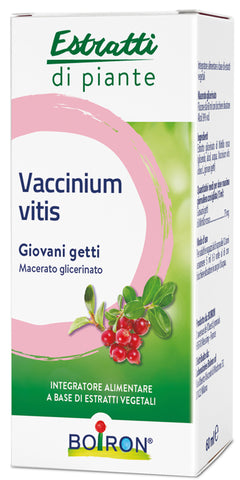Vaccinium vitis mg 60ml int