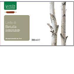 Betulla linfa bio 20ab 15ml
