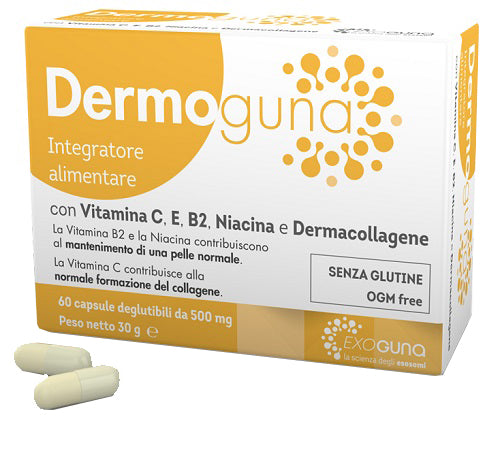 Dermoguna 60cps 500mg Image principale du produit