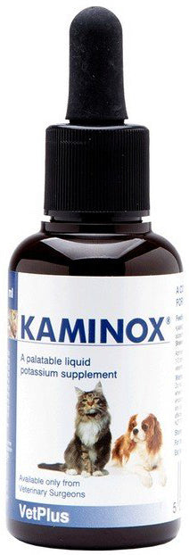 Kaminox sciroppo 60 ml Image principale du produit