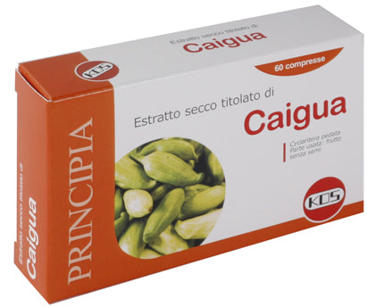 Caigua estr sec 60cpr 22,2g ko