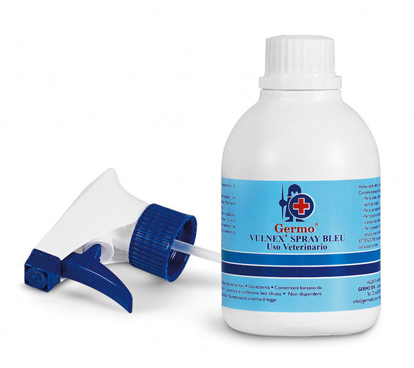 Vulnex loz disinf spr 250ml Hauptbild