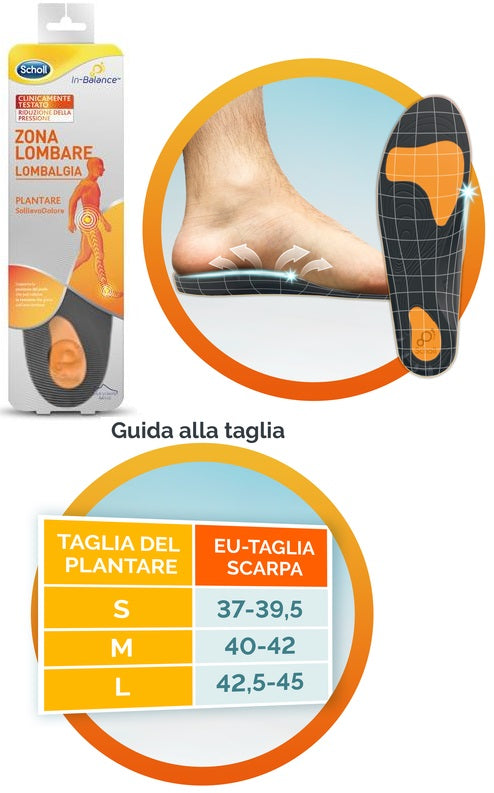 Scholl plantare lombare s 2pz