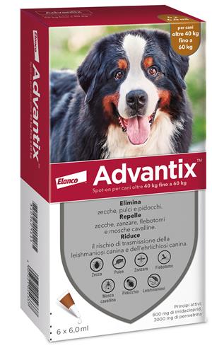 Advantix spot on*6pip 40-60kg Hauptbild