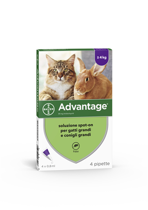 Advantage*4pip 0,8ml spot-on
