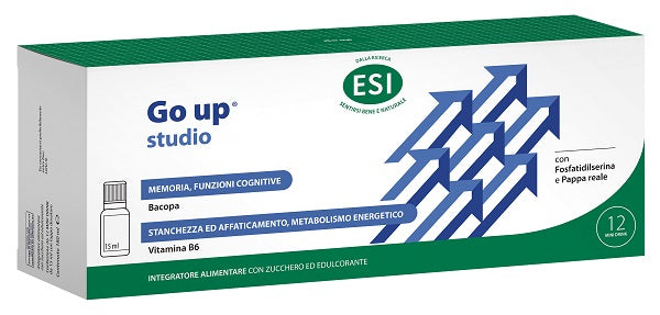 Esi energy line studio 12mini