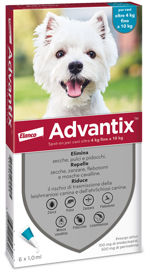 Advantix spot on*6pip 4-10kg Hauptbild