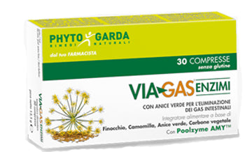 Viagas 30cpr 450mg c/enzimi
