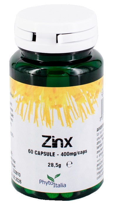 Zinx 60cps