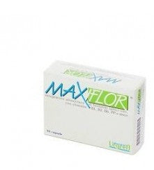 Maxiflor 20bust