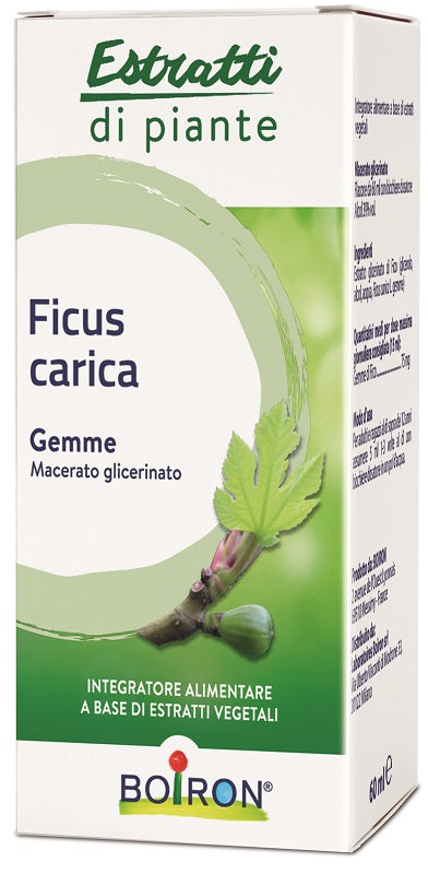 Bo.ficus carica 1dh gtt 60ml i
