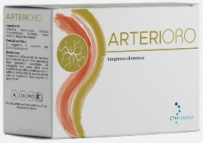 Arterioro 20bust