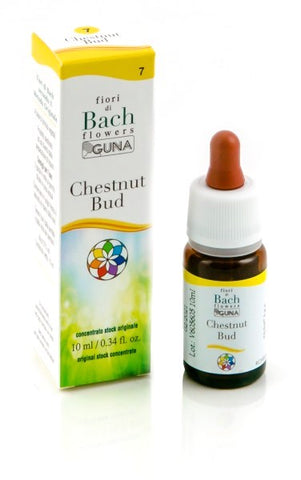 He.chestnut gun gtt 10ml f.bac