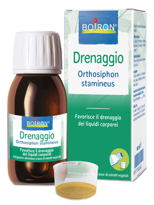 Orthosiphon sta ei 60ml int