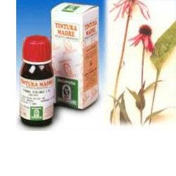 Echinacea 50ml tm specchiasol