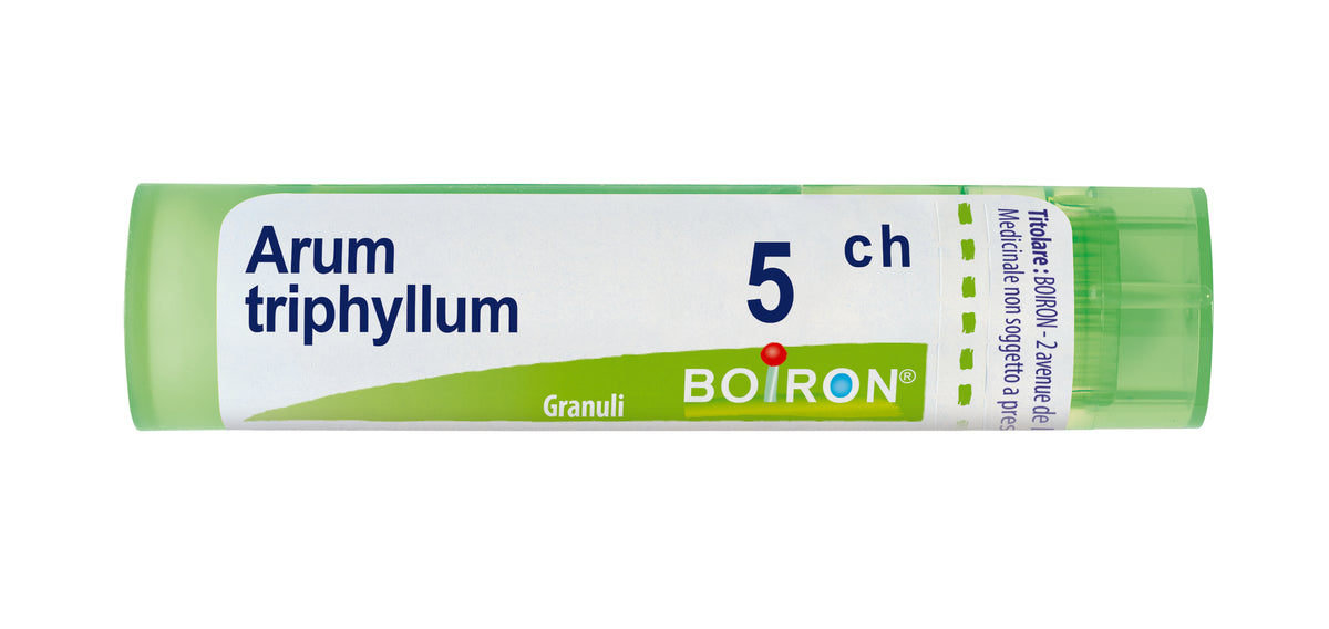Arum triphyllum*5ch 80gr 4g