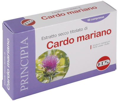 Cardo mariano estr sec 60cpr k