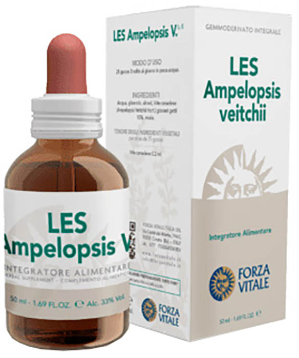 Les ampelopsis weitchii gocce