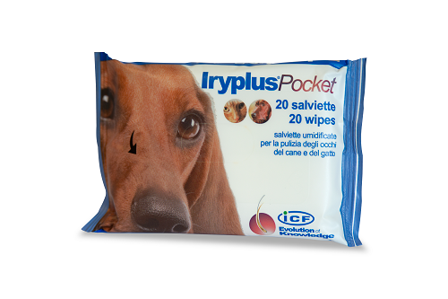 Iryplus pocket 20 salviettine