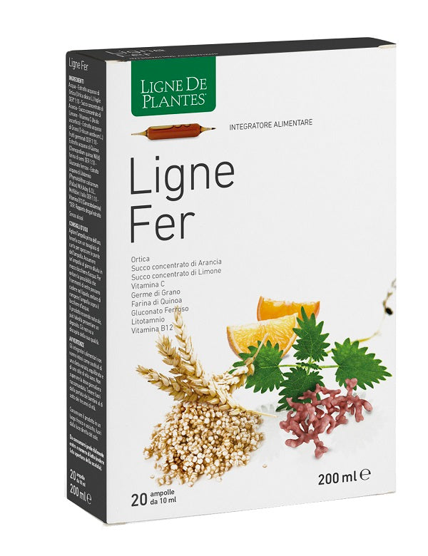 Ligne fer 20abx10ml