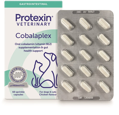 Cobalaplex 60cps n/f adm prote