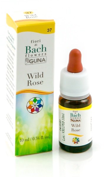 Wild rose gun gtt 10ml Image principale du produit