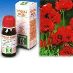 Papavero california 50ml tm sp