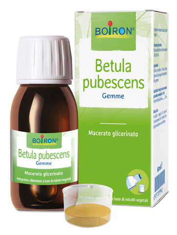 Betula pubescens mg 60ml int