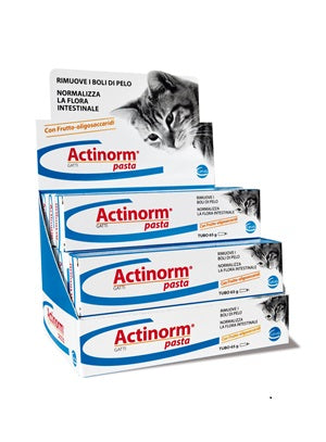 Actinorm pasta gatti 65g Imagen principal del producto