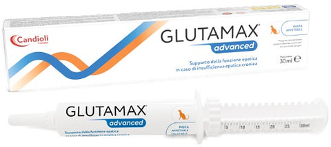 Glutamax advanced pasta 30 ml