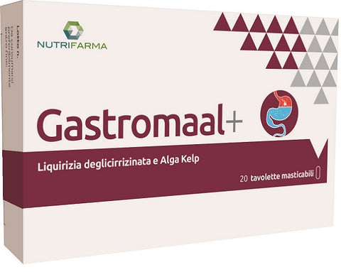 Gastro maal + 20tav