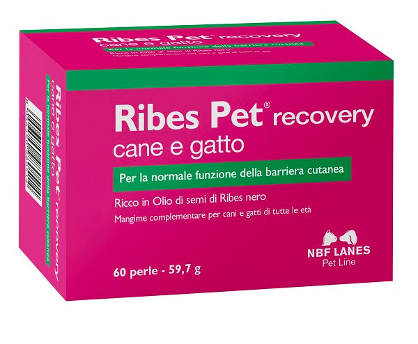 Ribes pet recovery 60prl Imagem principal do produto