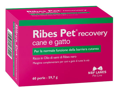 Ribes pet recovery 60prl