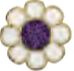 Bjt714 gp violet flower